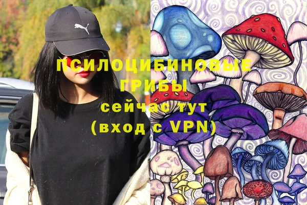 крисы Верея