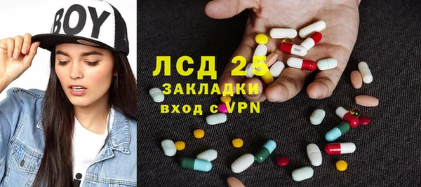 крисы Верея