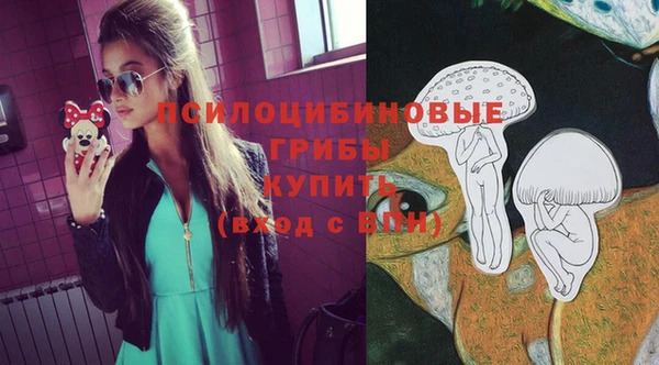 крисы Верея