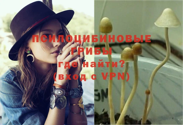 крисы Верея
