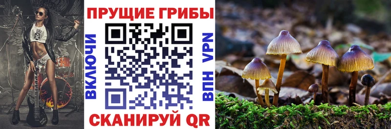 Псилоцибиновые грибы GOLDEN TEACHER  Купить закладки  Нижняя Тура 